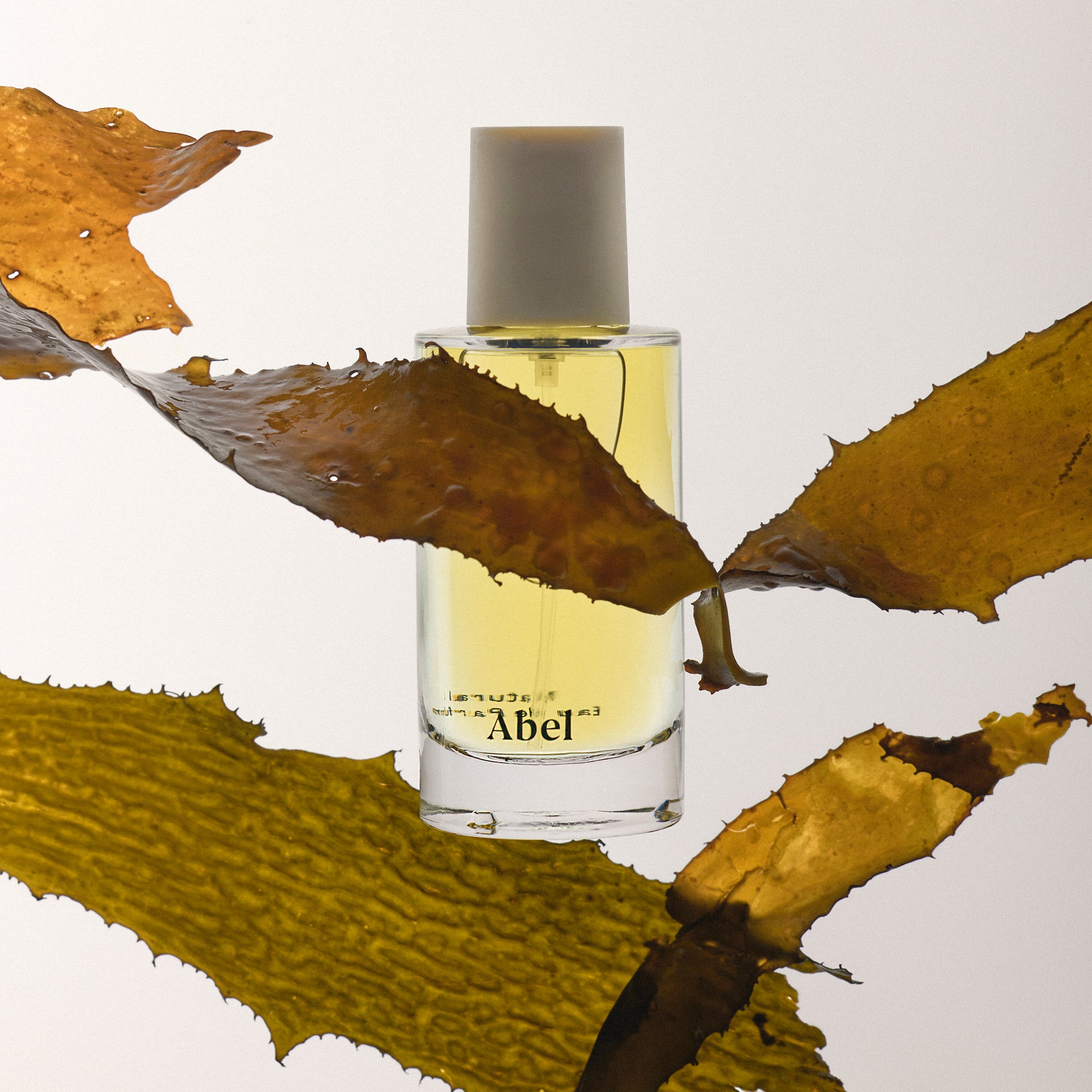 Abel Cyan Nori Eau de Parfum