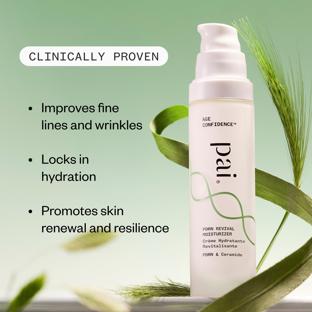 Pai PDRN Revival Moisturizer