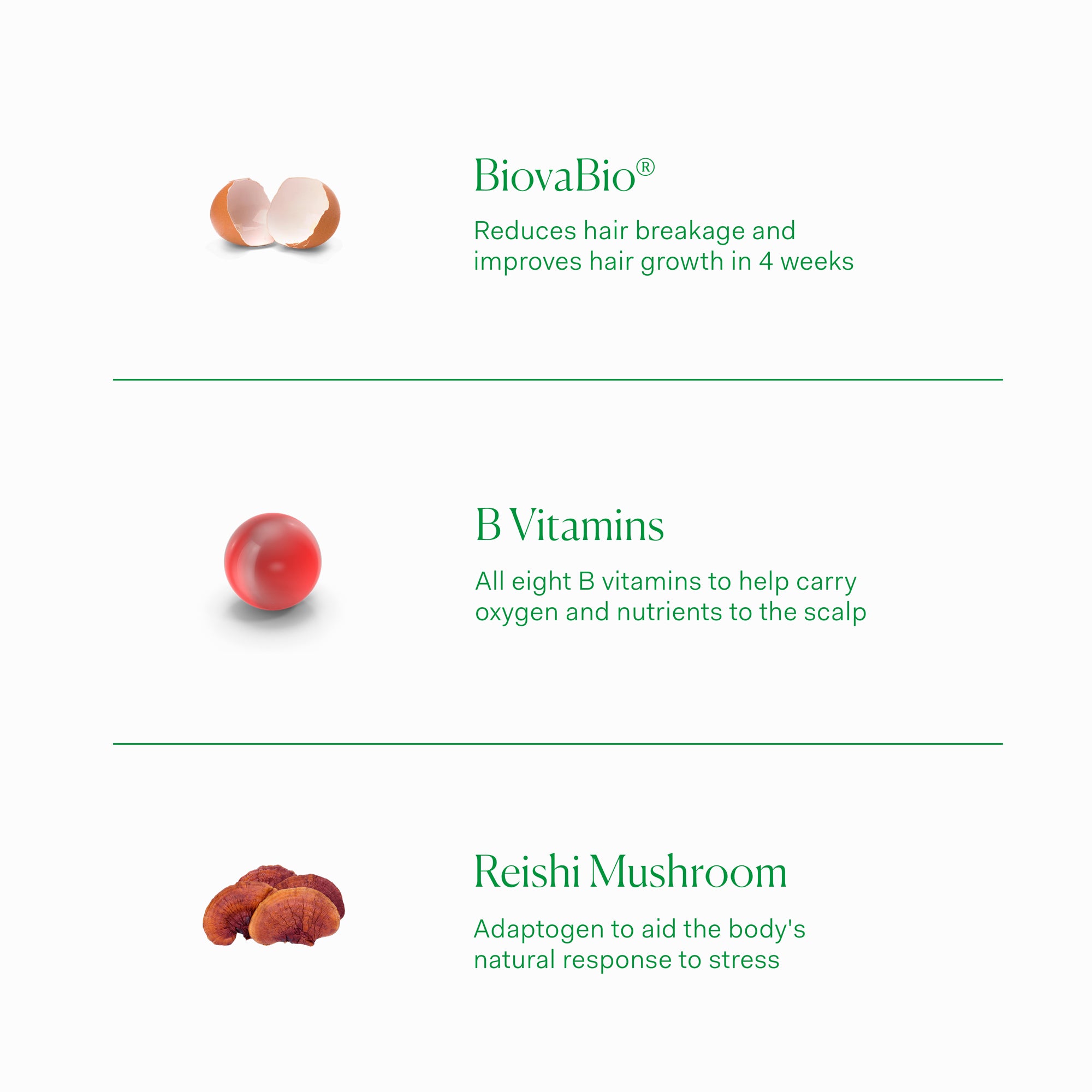 The Nue Co. Growth Phase Supplement