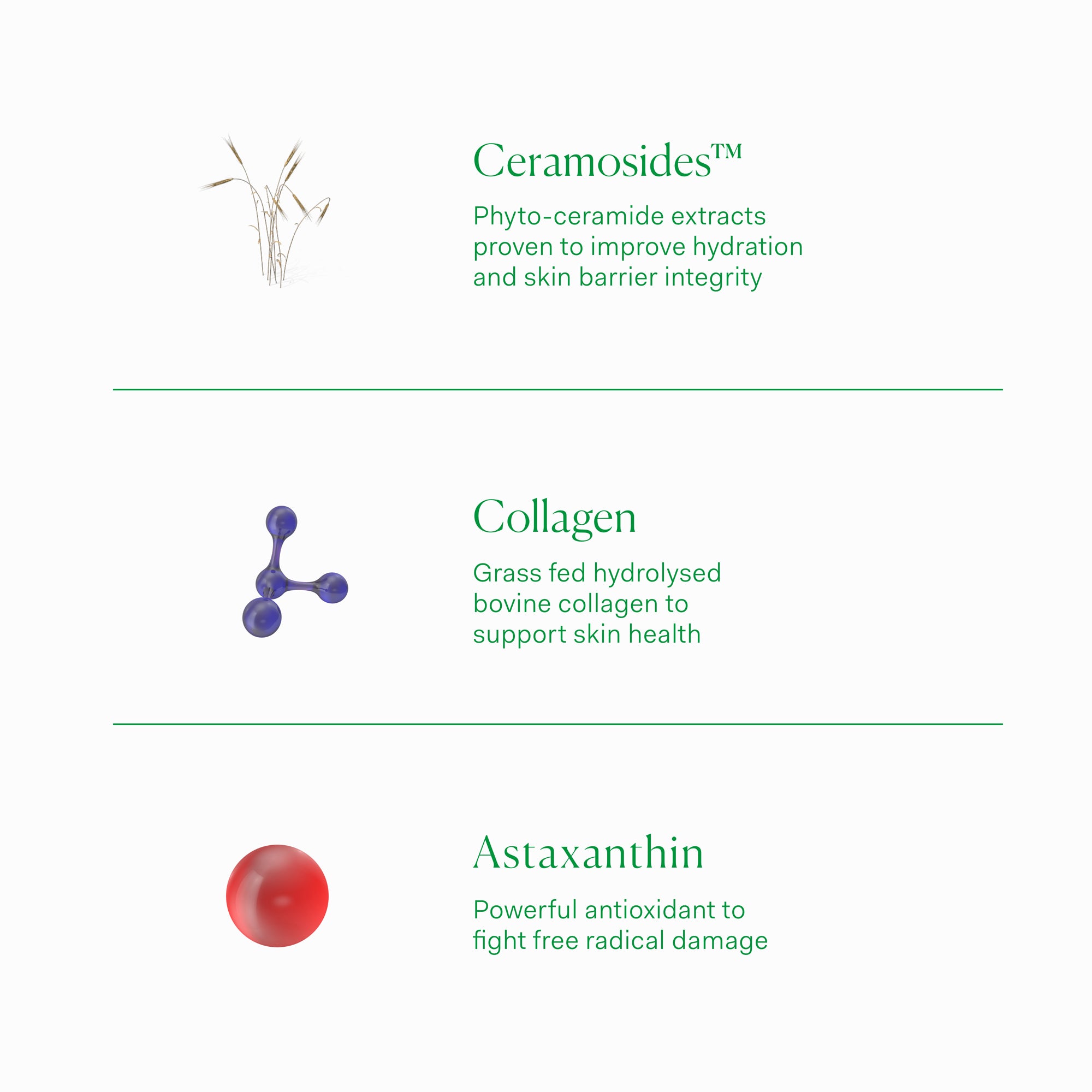 The Nue Co. Skin Hydrator Supplement